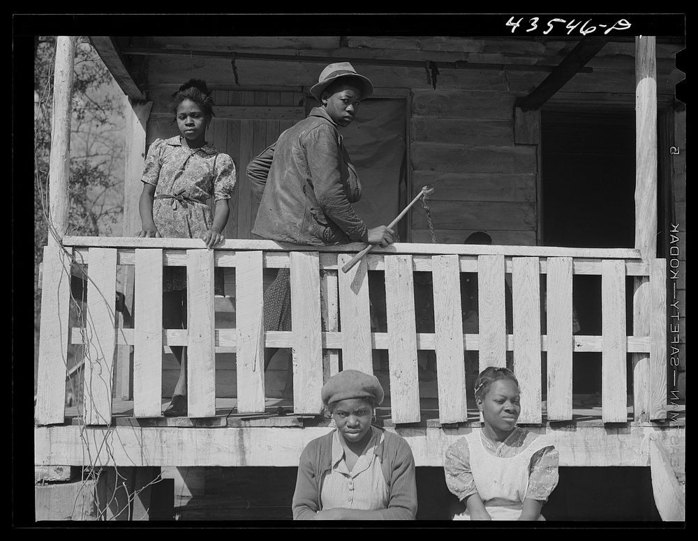 [Untitled photo, possibly related to:  family who had moved out of the Santee-Cooper basin onto land which they had to clear…