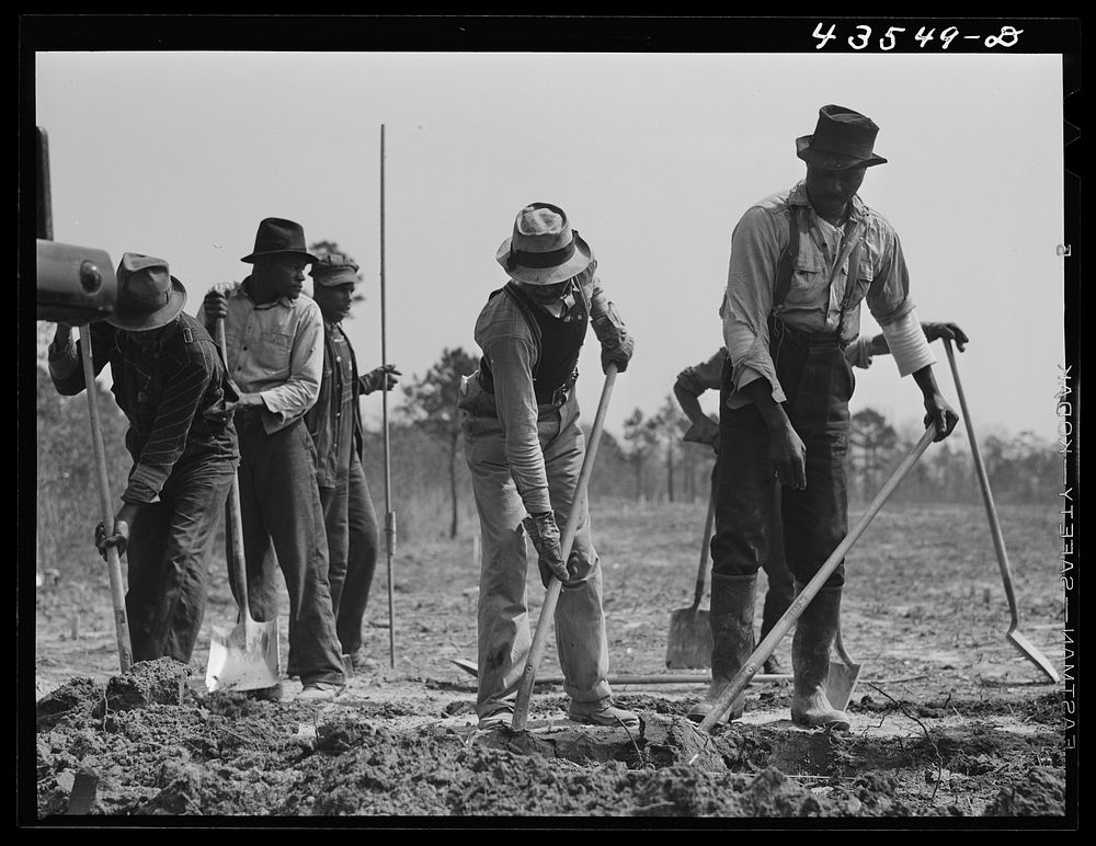 Digging new graves for a cemetery being moved out of the Santee-Cooper basin. Near Bonneau, South Carolina. Sourced from the…
