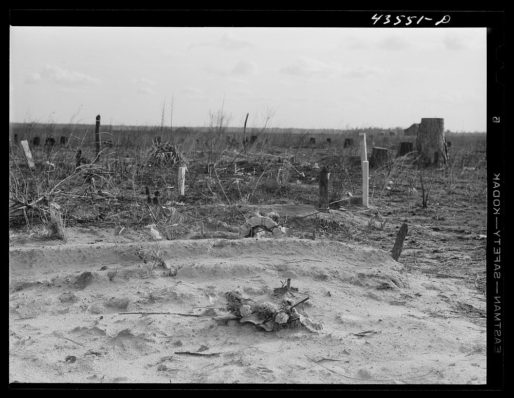 [Untitled photo, possibly related to:  graveyard on abandoned land in the Santee-Cooper basin near Moncks Corner, South…