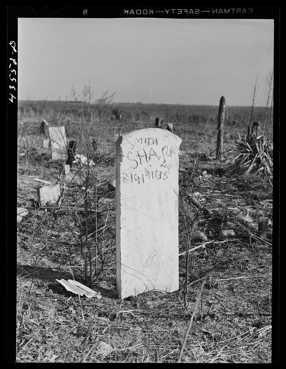  graveyard on abandoned land in the Santee-Cooper basin. South Carolina. Sourced from the Library of Congress.