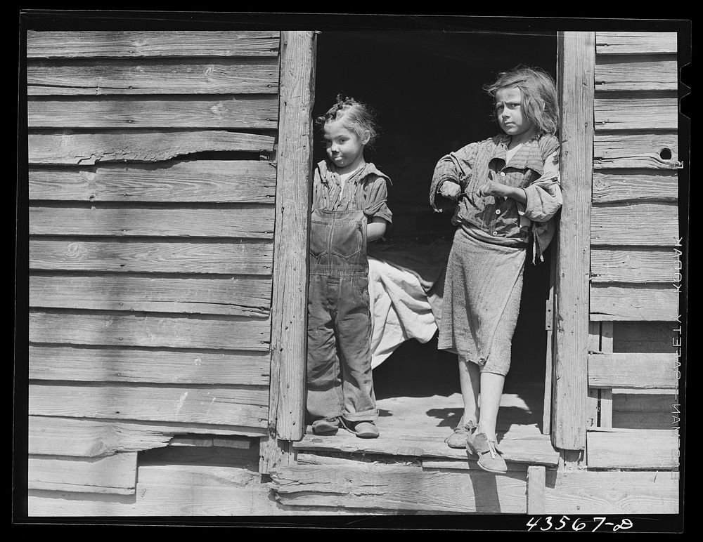 Two of the children of Willie Smith, a "squatter" who had to move out of the Camp Croft area. Near Whitestone, South…