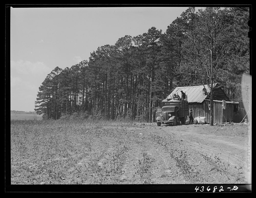 [Untitled photo, possibly related to:  family moving out of Camp Croft area collecting some belongings from a relative. Near…