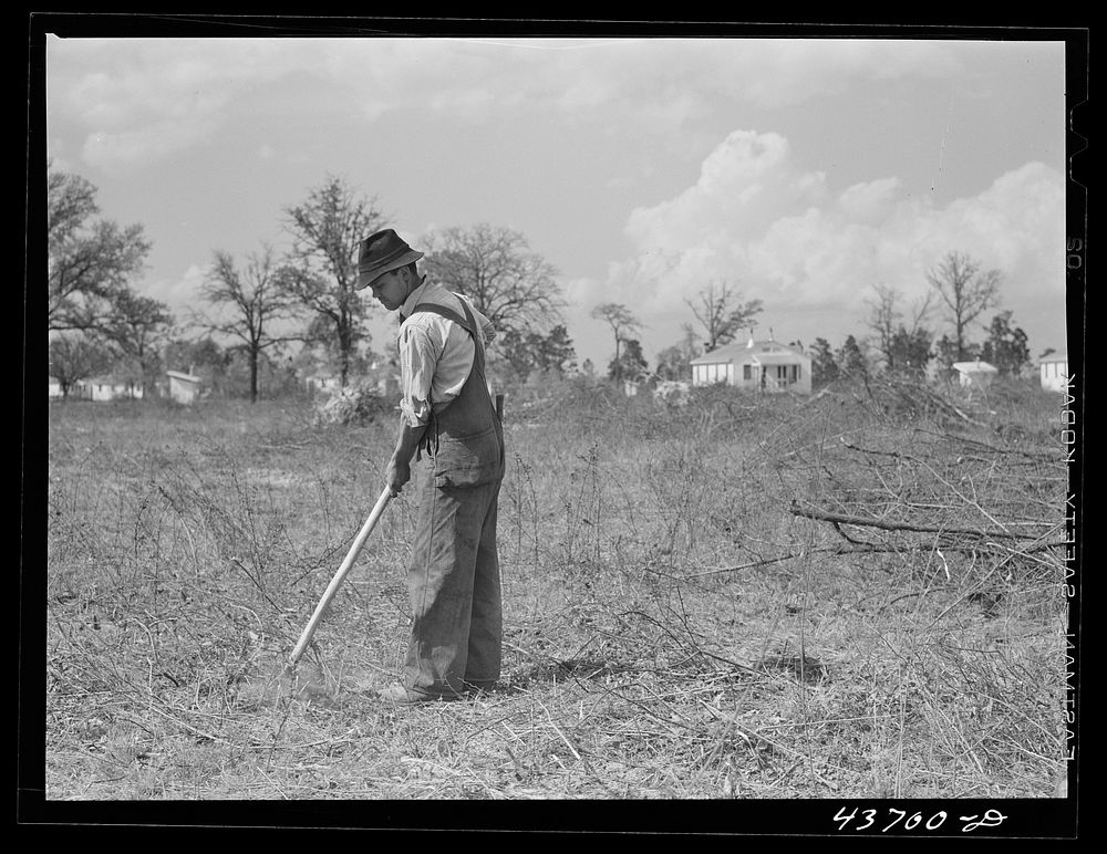 [Untitled photo, possibly related to: Mr. Cecil Roy, clearing land at Hazlehurst Farms Inc. near Hazlehurst, Georgia].…