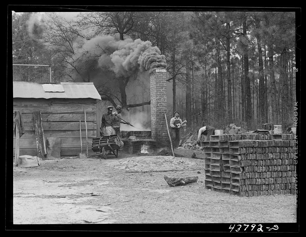 A turpentine still near Pembroke, Georgia. Sourced from the Library of Congress.