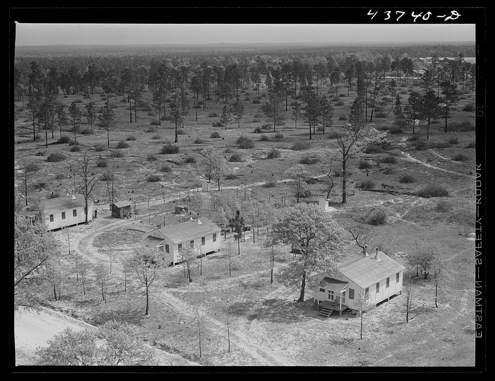 Prefabricated houses at Hazlehurst Farms Inc., showing both cleared and uncleared land. Hazlehurst, Georgia. Sourced from…