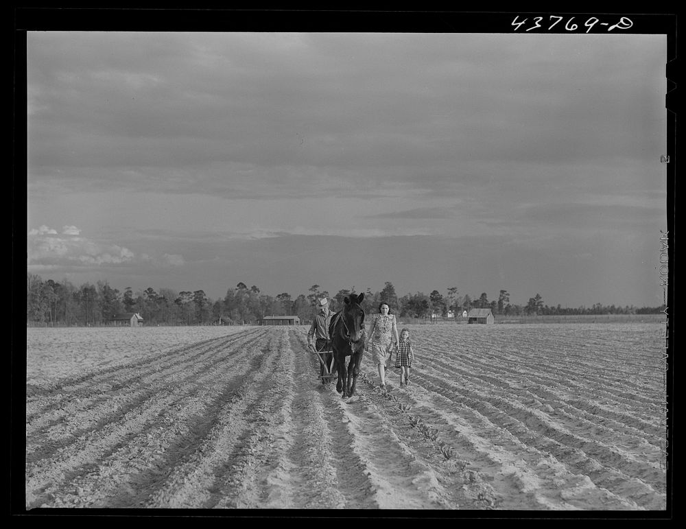 Levy Usher and his family plowing their two-acre tract in the community garden at Hazlehurst Farms. Georgia. Sourced from…