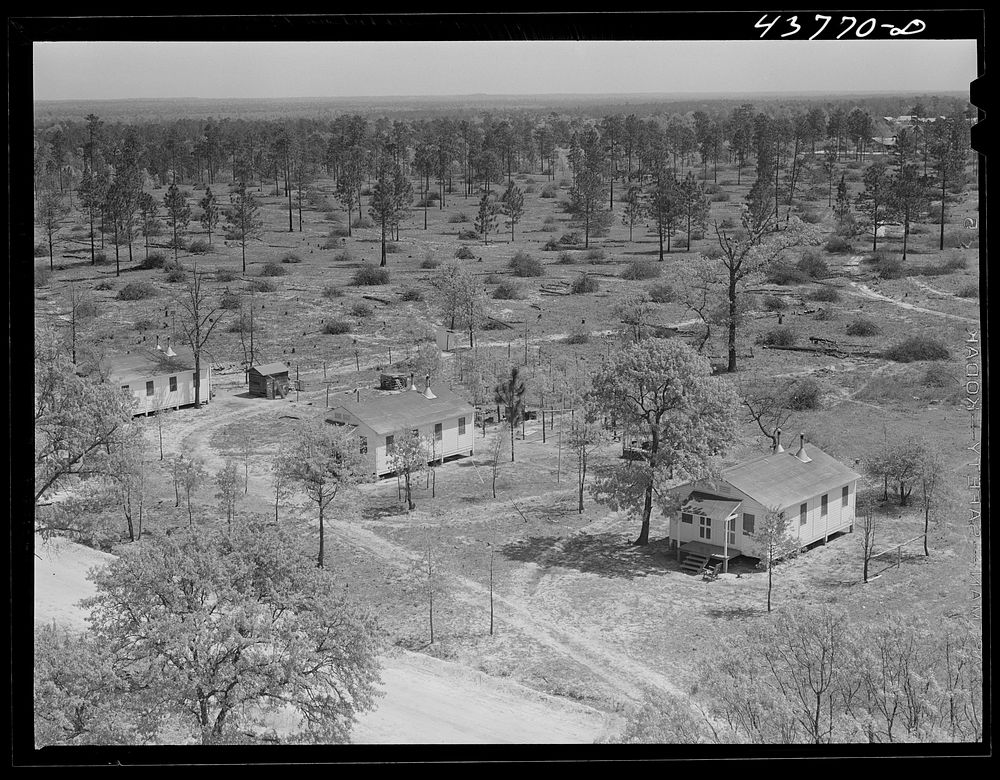[Untitled photo, possibly related to: Prefabricated houses at Hazlehurst Farms Inc., showing both cleared and uncleared…