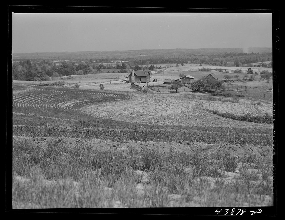 Landscape in the north section of Heard County, Georgia. Sourced from the Library of Congress.