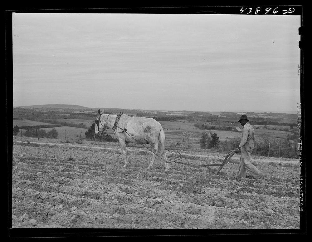 Landscape in the south section of Carroll County, Georgia. Sourced from the Library of Congress.