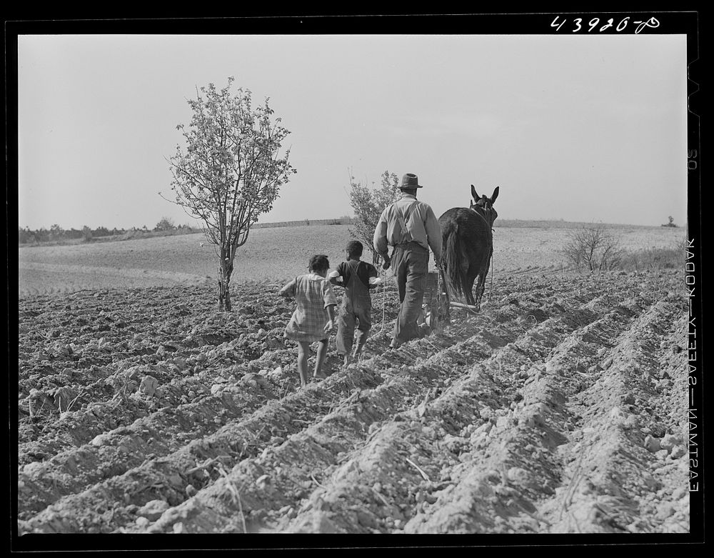 [Untitled photo, possibly related to: Plowing in northern Heard County, Georgia]. Sourced from the Library of Congress.