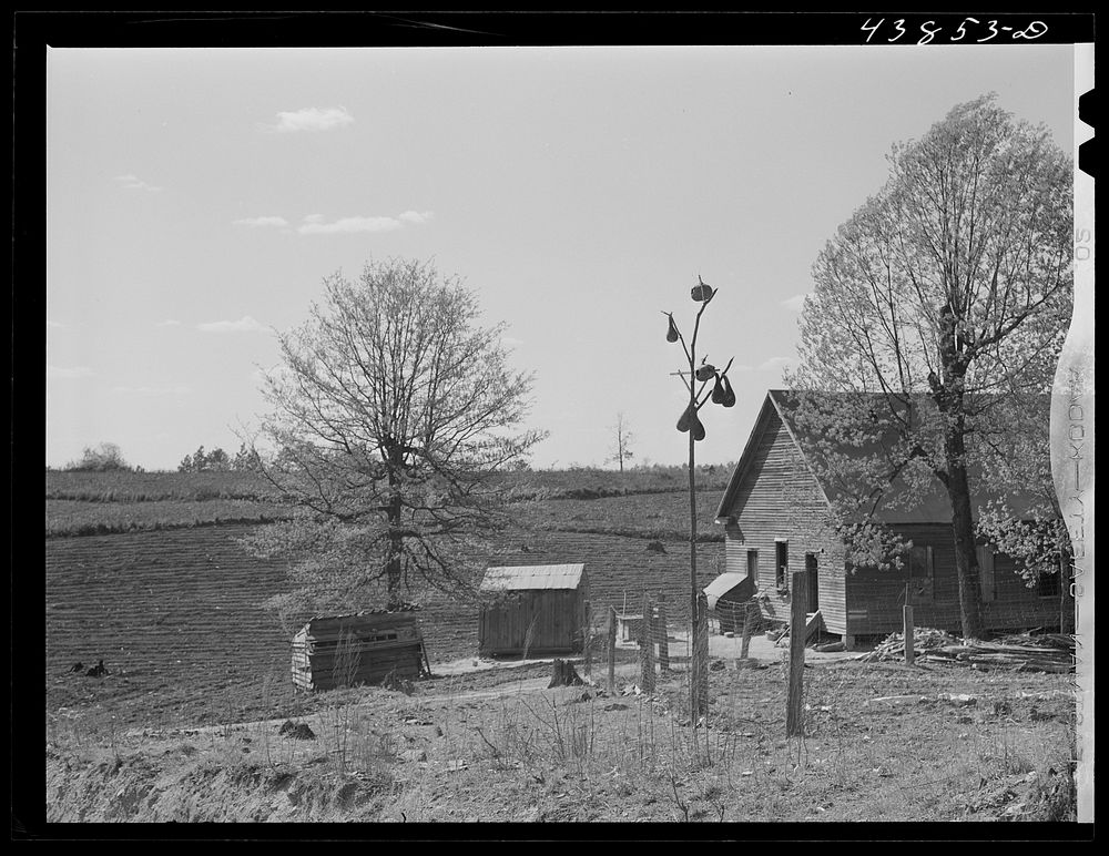 Farm south of Franklin. Heard County, Georgia. Sourced from the Library of Congress.
