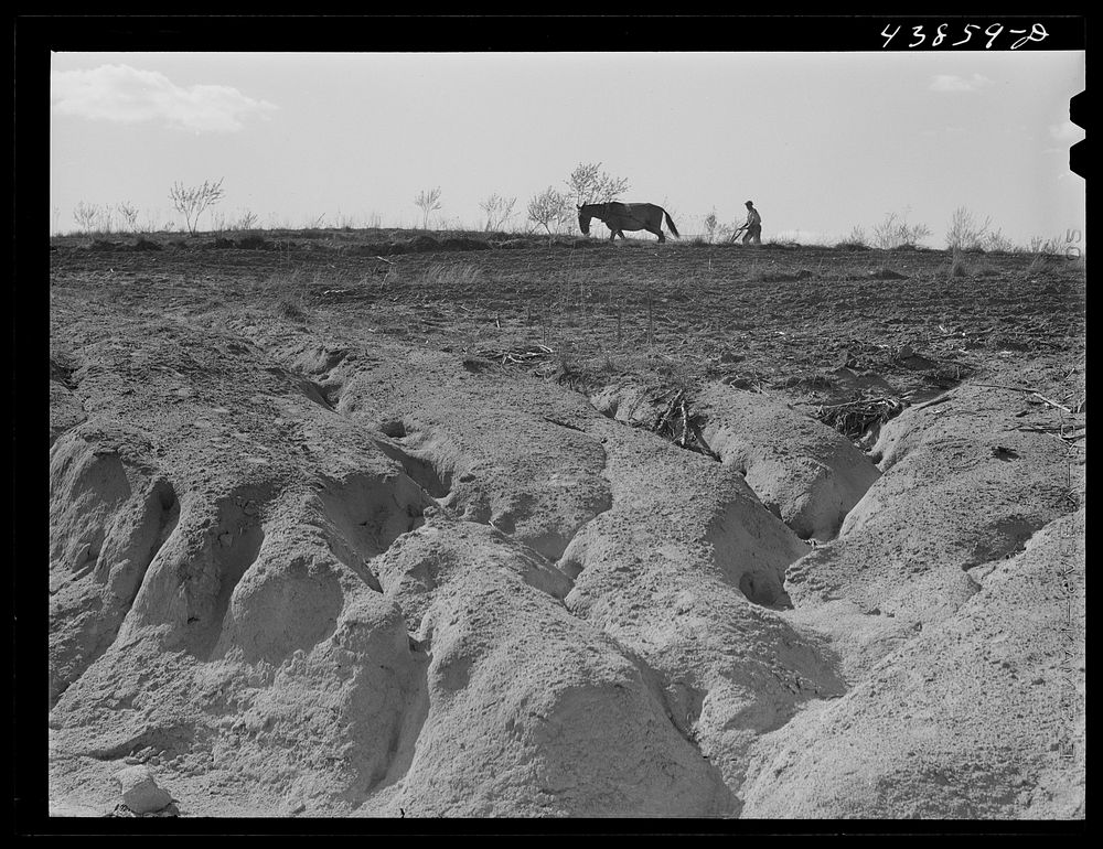 Erosion south of Franklin. Heard County, Georgia. Sourced from the Library of Congress.