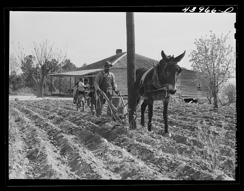 [Untitled photo, possibly related to: Plowing in northern Heard County, Georgia]. Sourced from the Library of Congress.