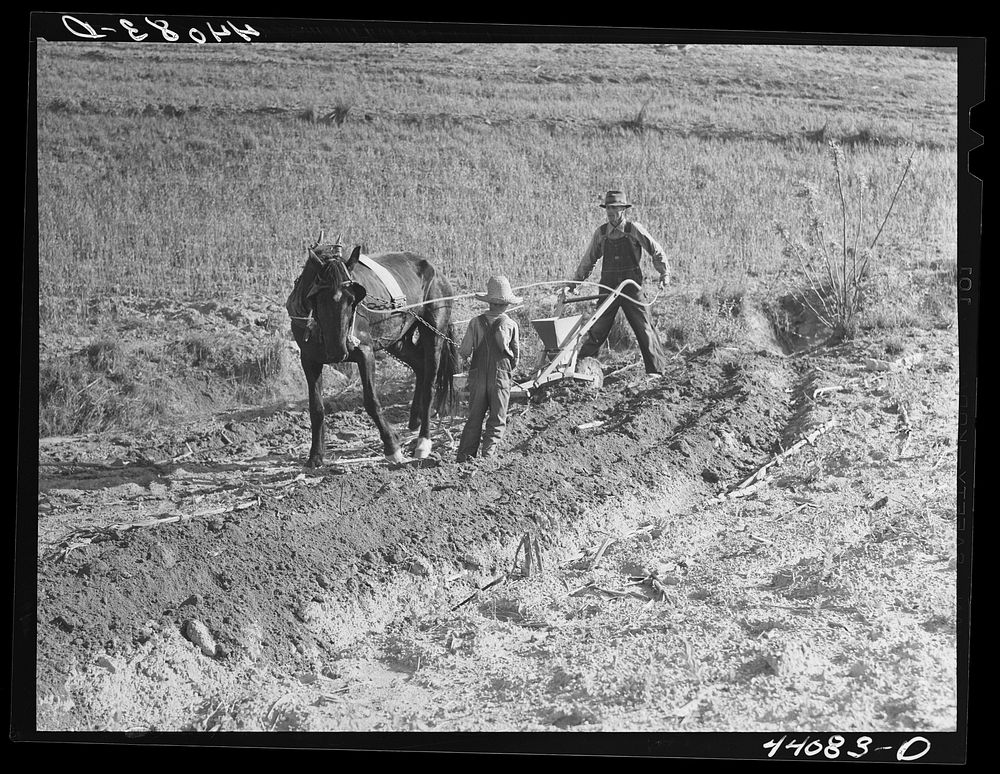 Lemuel Smith and son, Colie, working on his farm in Carroll County, Georgia. Sourced from the Library of Congress.