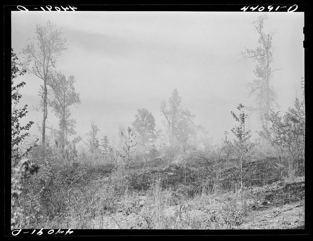 Brush fire in Heard County, Georgia. Sourced from the Library of Congress.