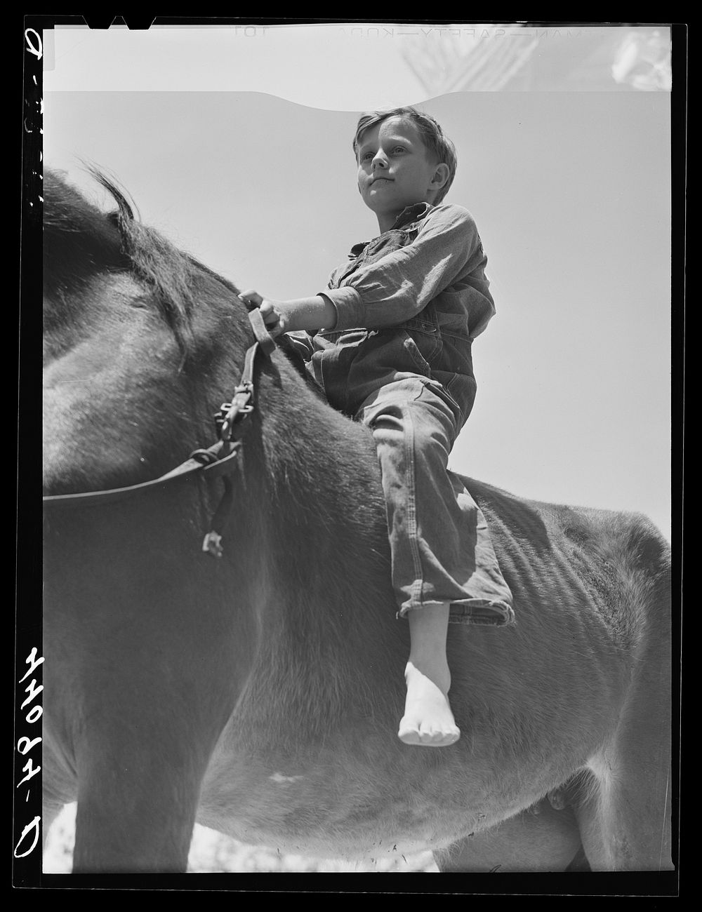 [Untitled photo, possibly related to: Colie Smith gets a ride on one of two horses owned by the Smith family. Carroll…