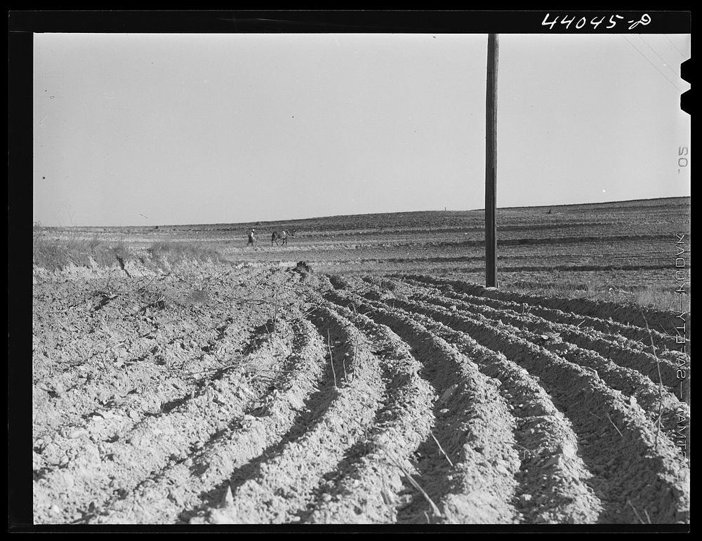 [Untitled photo, possibly related to: Landscape in Heard County, Georgia]. Sourced from the Library of Congress.
