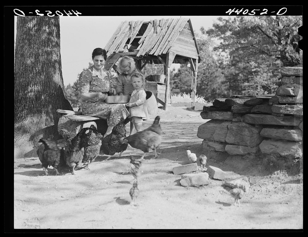 [Untitled photo, possibly related to: Mrs. L. Smith and two of the children feeding the chickens. Carroll County, Georgia].…