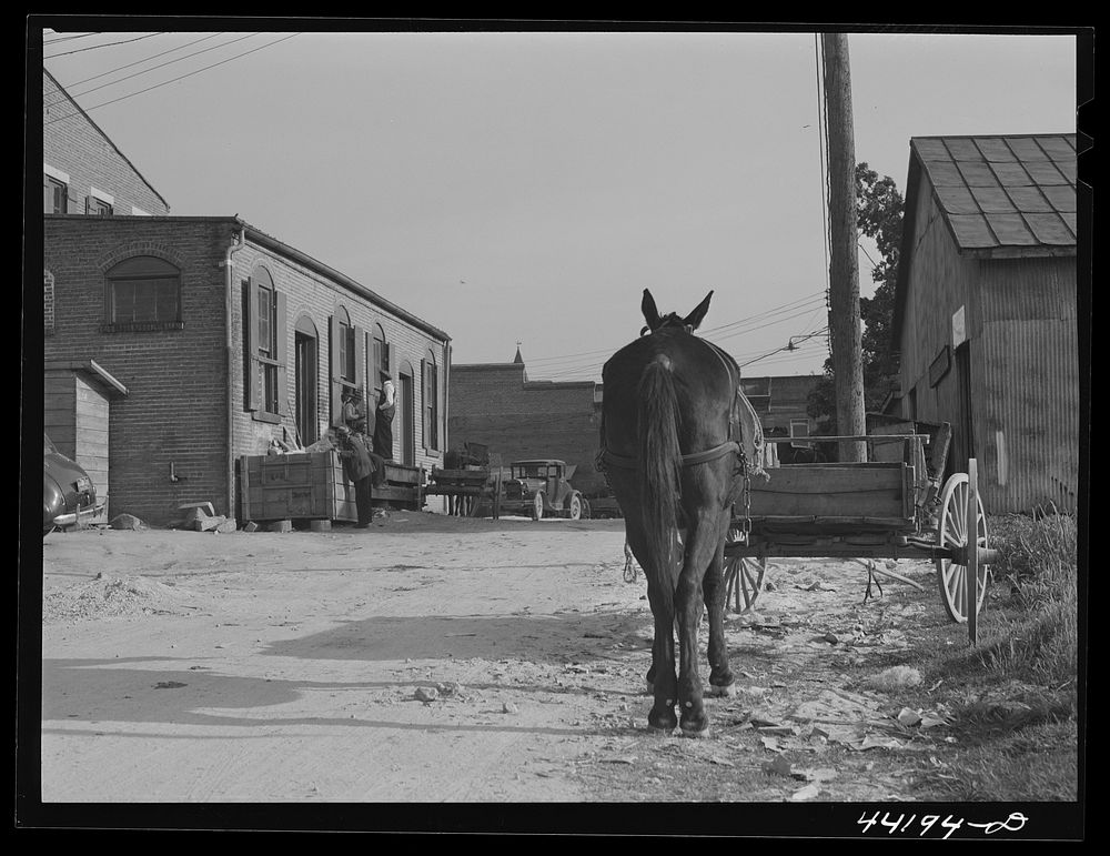 In back of the Bickers-Goodwin store in Greensboro on a Saturday. Greene County, Georgia. Sourced from the Library of…