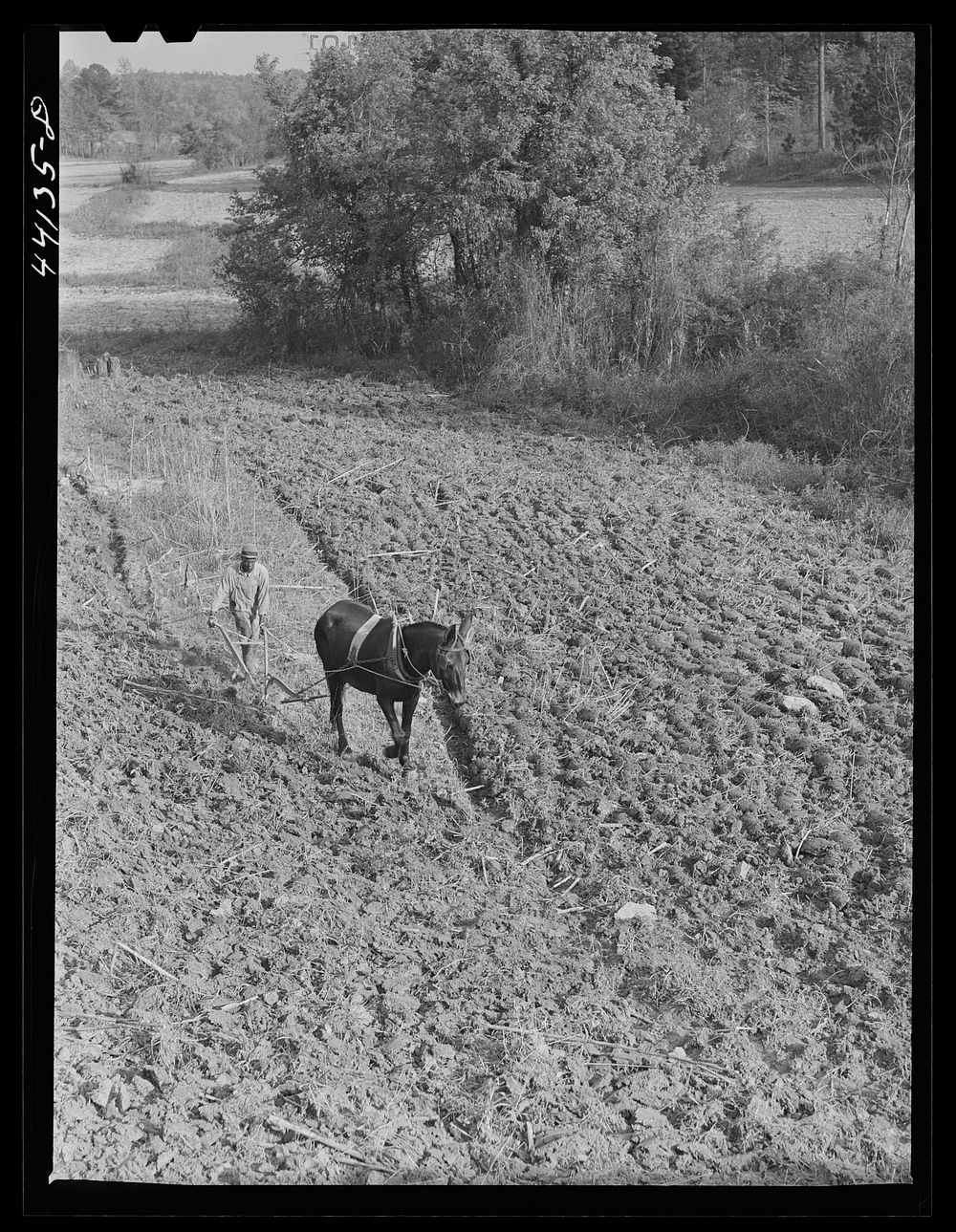 Plowing. Heard County, Georgia. Sourced from the Library of Congress.