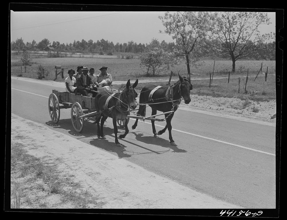 Coming to town on a Saturday afternoon. Greene County, Georgia. Sourced from the Library of Congress.