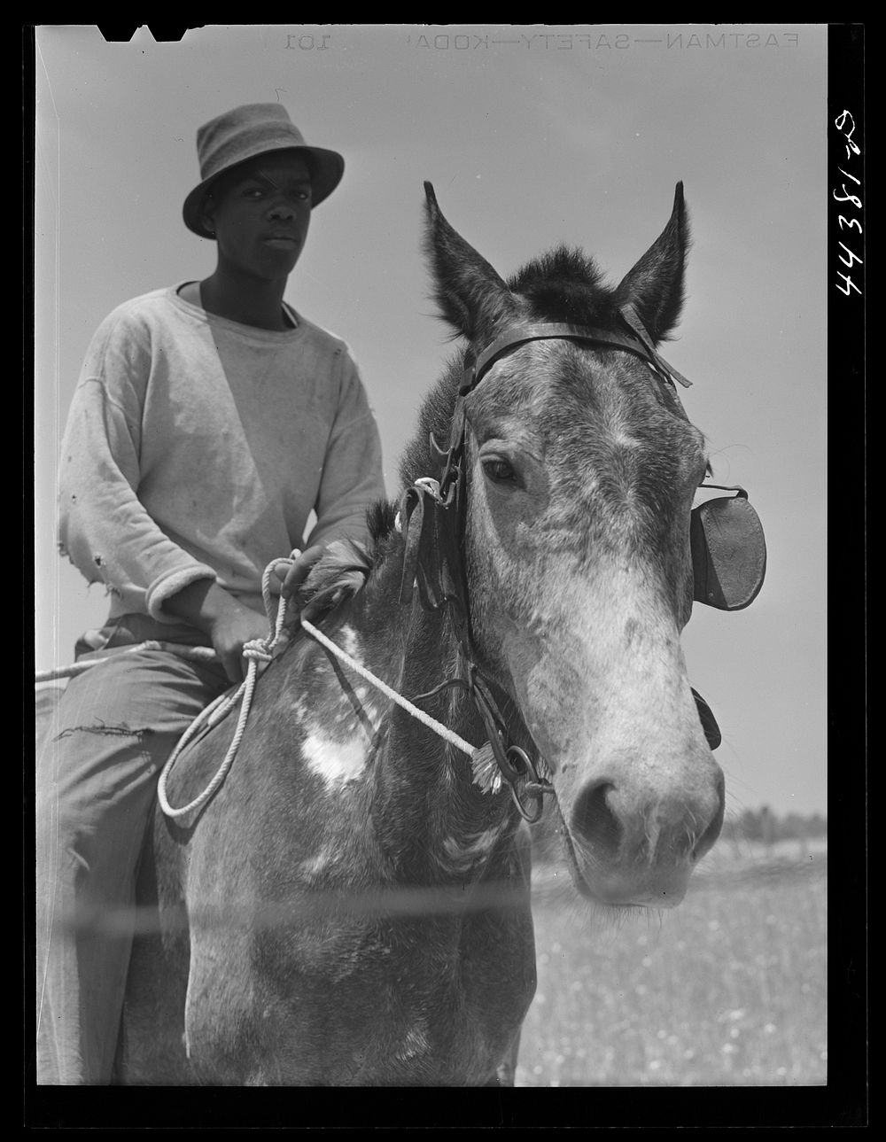 [Untitled photo, possibly related to:  cowhand in the Black Prairie region. Hale County, Alabama]. Sourced from the Library…