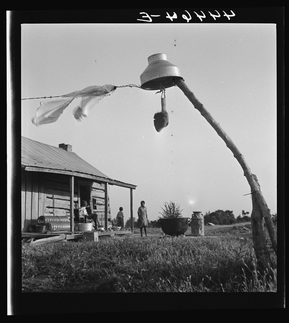  farm family near Greensboro, Alabama who are participants in a FSA (Farm Security Administration) dairy co-op. Sourced from…