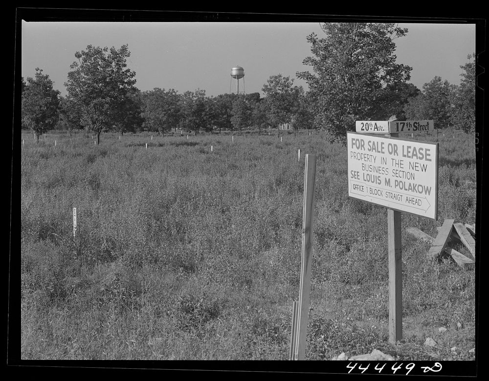 Lots for sale in Childersburg, Alabama. Stakes mark off the separate lots. Sourced from the Library of Congress.