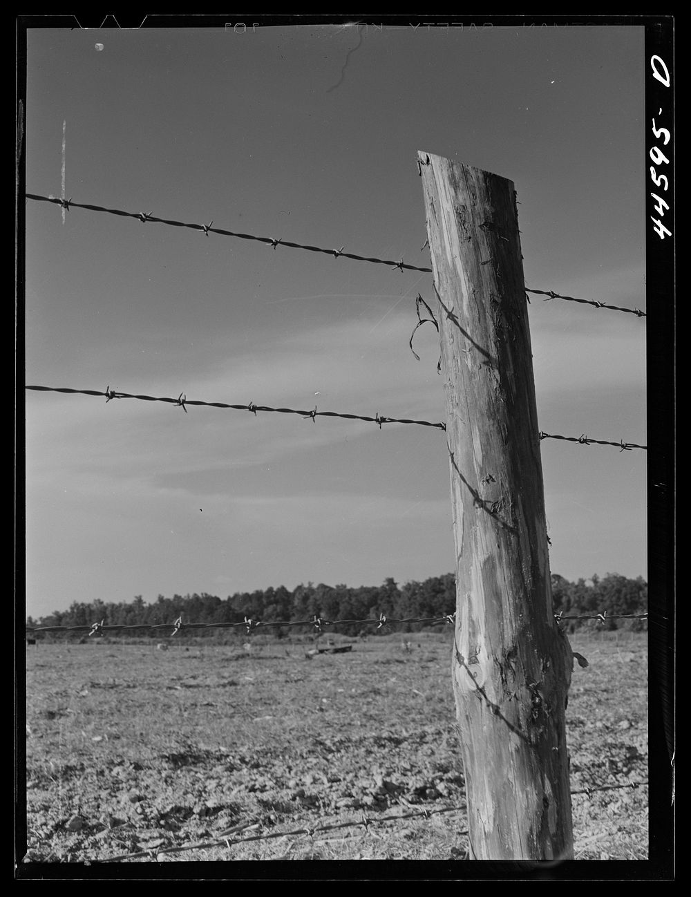A FSA (Farm Security Administration) fence post. Greene County, Georgia. Sourced from the Library of Congress.