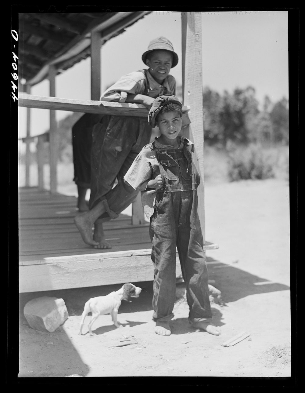 [Untitled photo, possibly related to: Two of the children of R. L. Smith playing with a sickly dog. FSA (Farm Security…