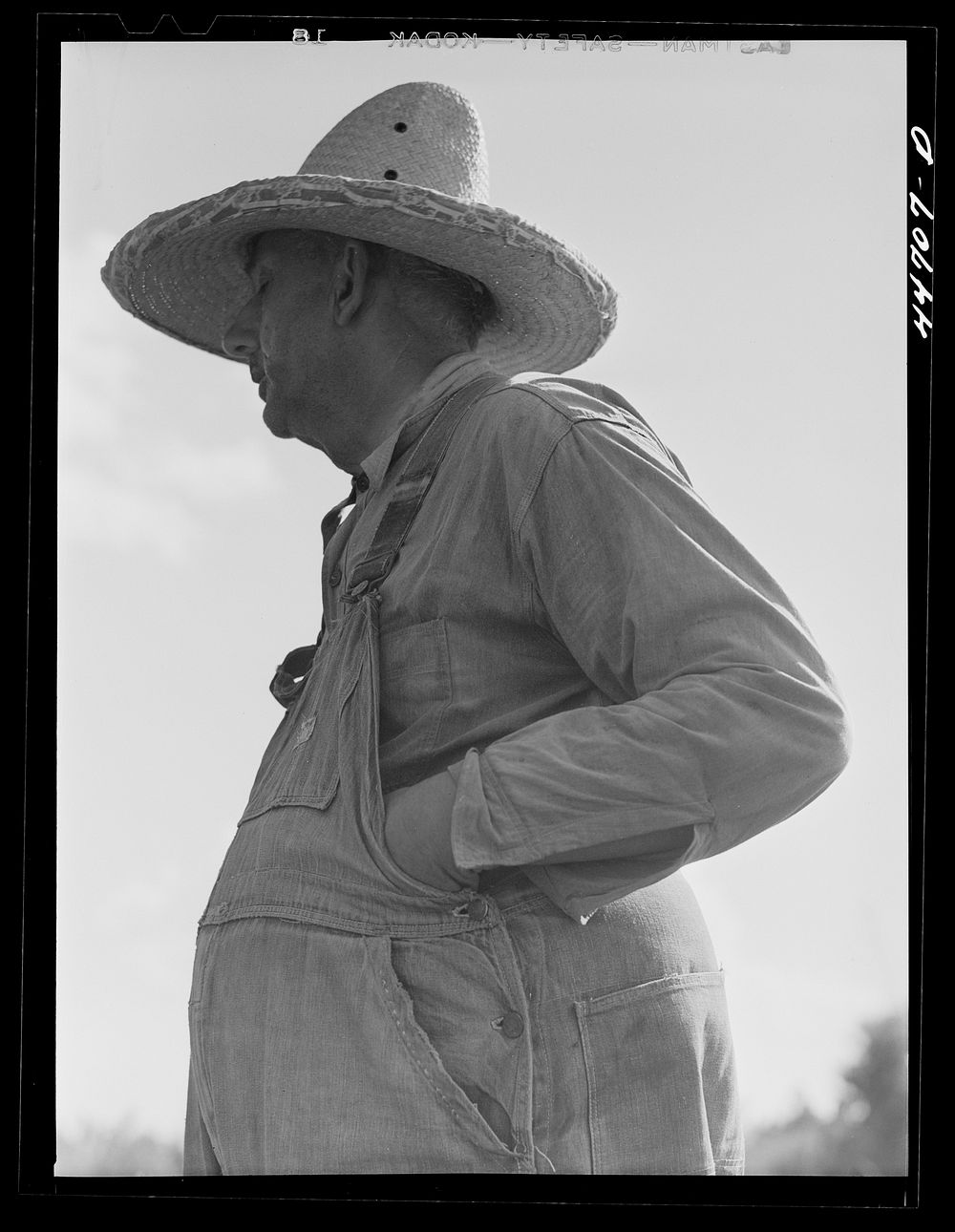 [Untitled photo, possibly related to: A tenant purchase borrower, FSA (Farm Security Administration), in southern Greene…