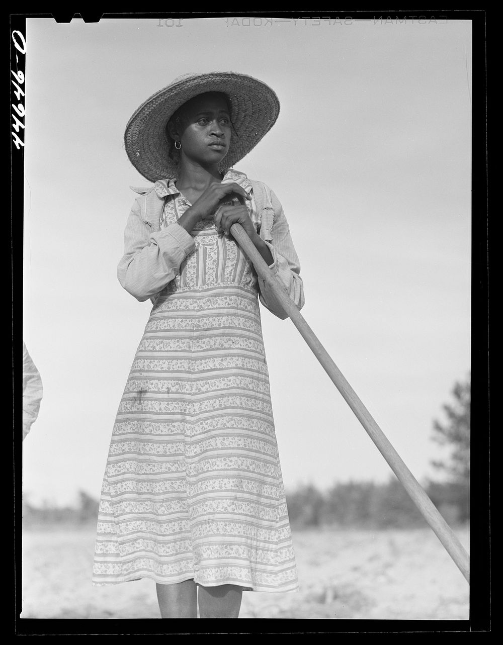 Mrs. LeRoy Dunn chopping cotton in a field near White Plains. Greene County, Georgia. Sourced from the Library of Congress.