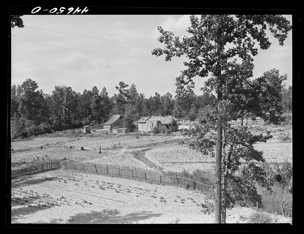  tenant farm near Greensboro, Georgia. Greene County. Sourced from the Library of Congress.
