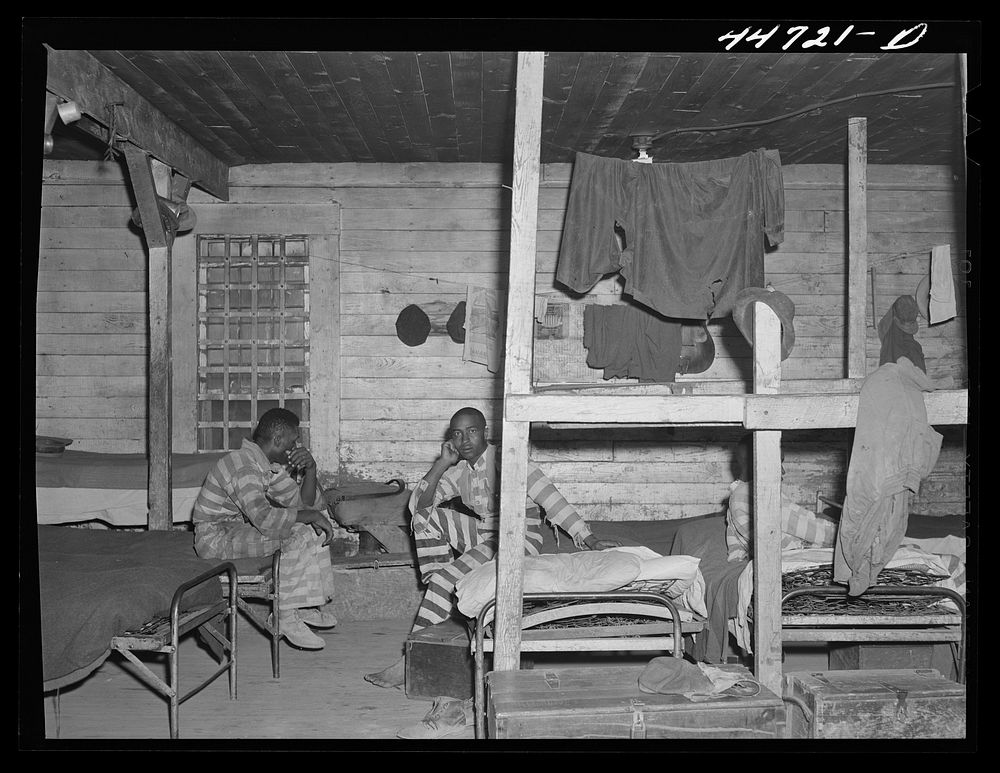 [Untitled photo, possibly related to: At the convict camp in Greene County, Georgia]. Sourced from the Library of Congress.