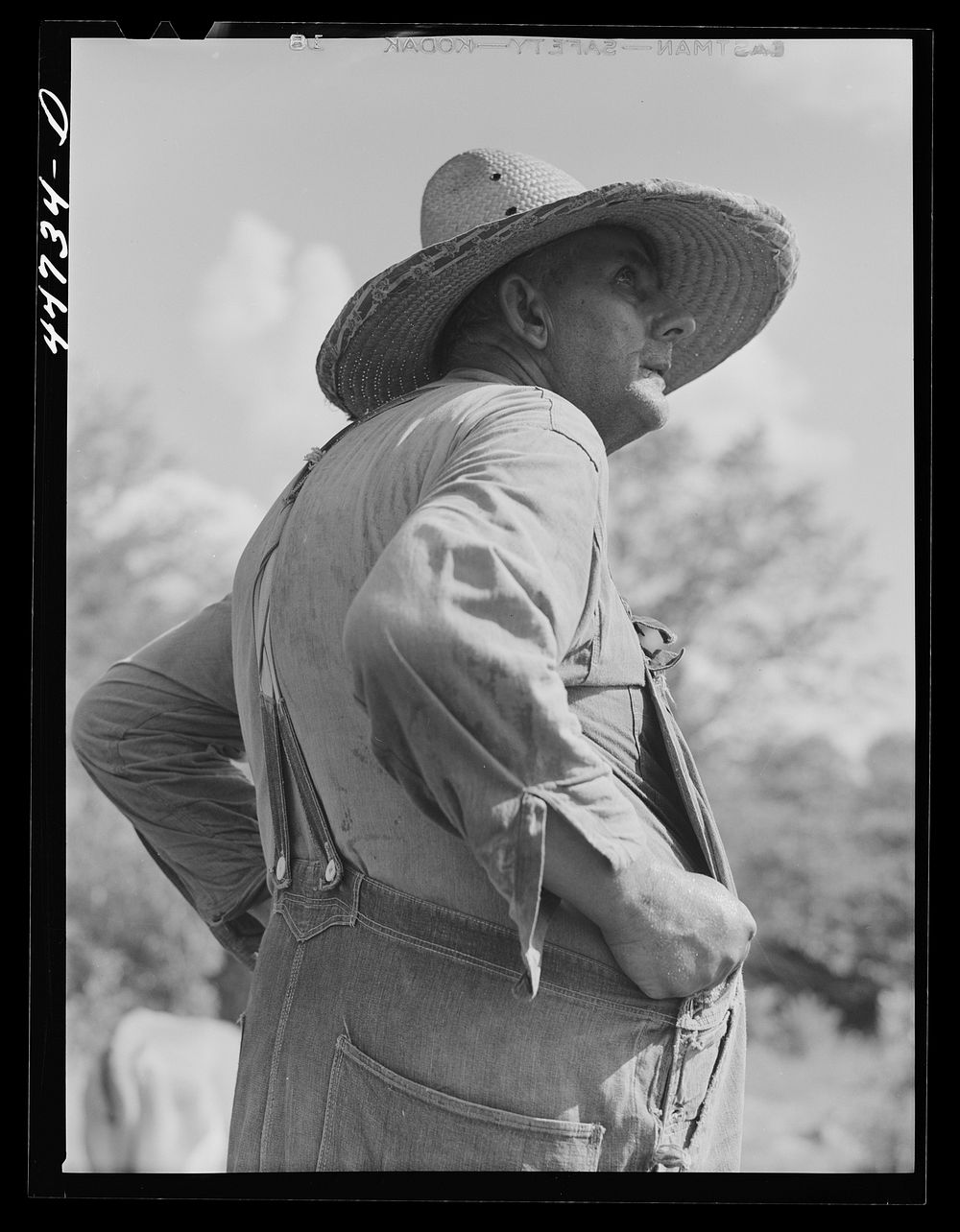 A tenant purchase borrower, FSA (Farm Security Administration), in southern Greene County, Georgia. Sourced from the Library…