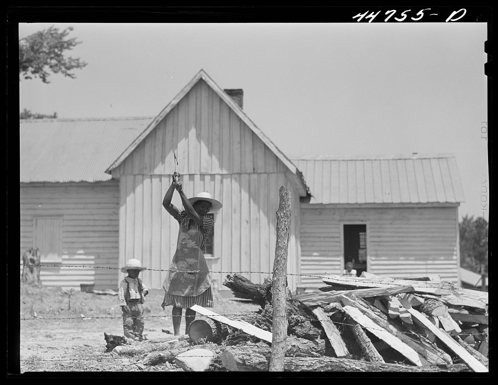 While her husband is out plowing Mrs Willie Lewis chops wood for the stove. On the Jones farm, Greene County, Georgia.…