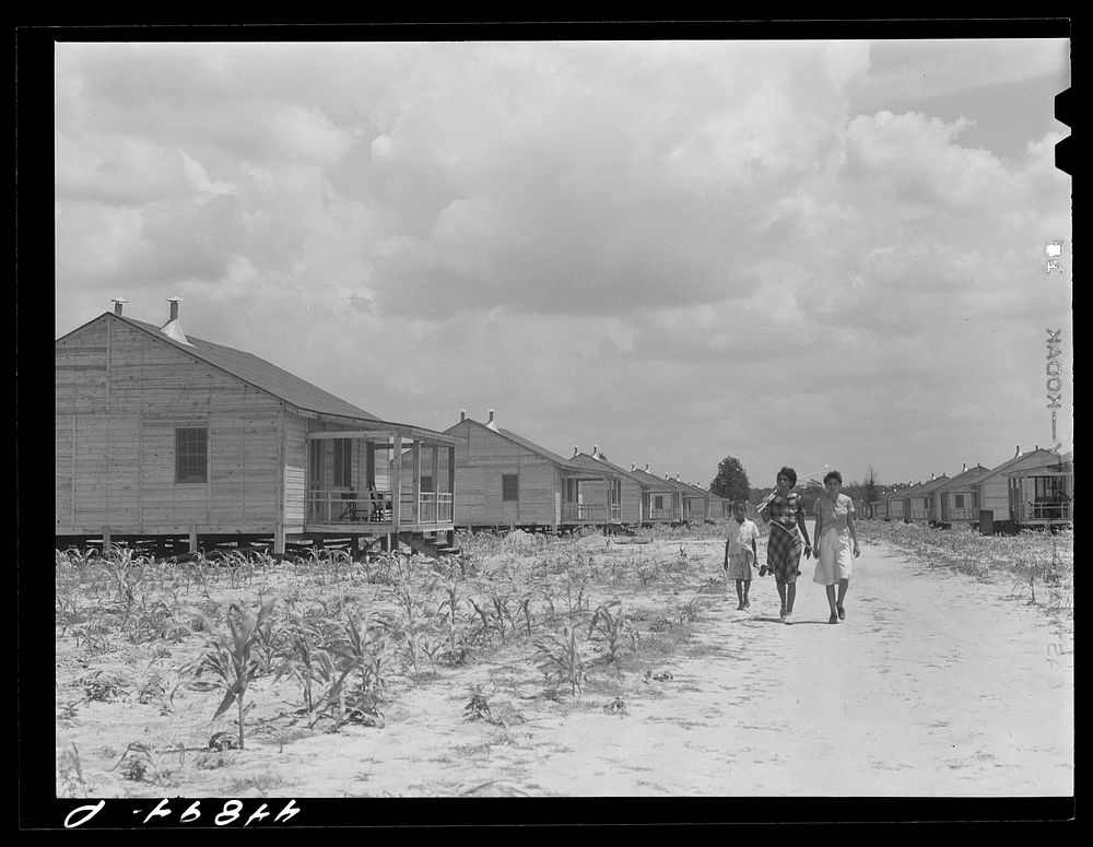 Prefabricated houses built by FSA (Farm Security Administration) to take care of some of the  farmers who had to move out of…