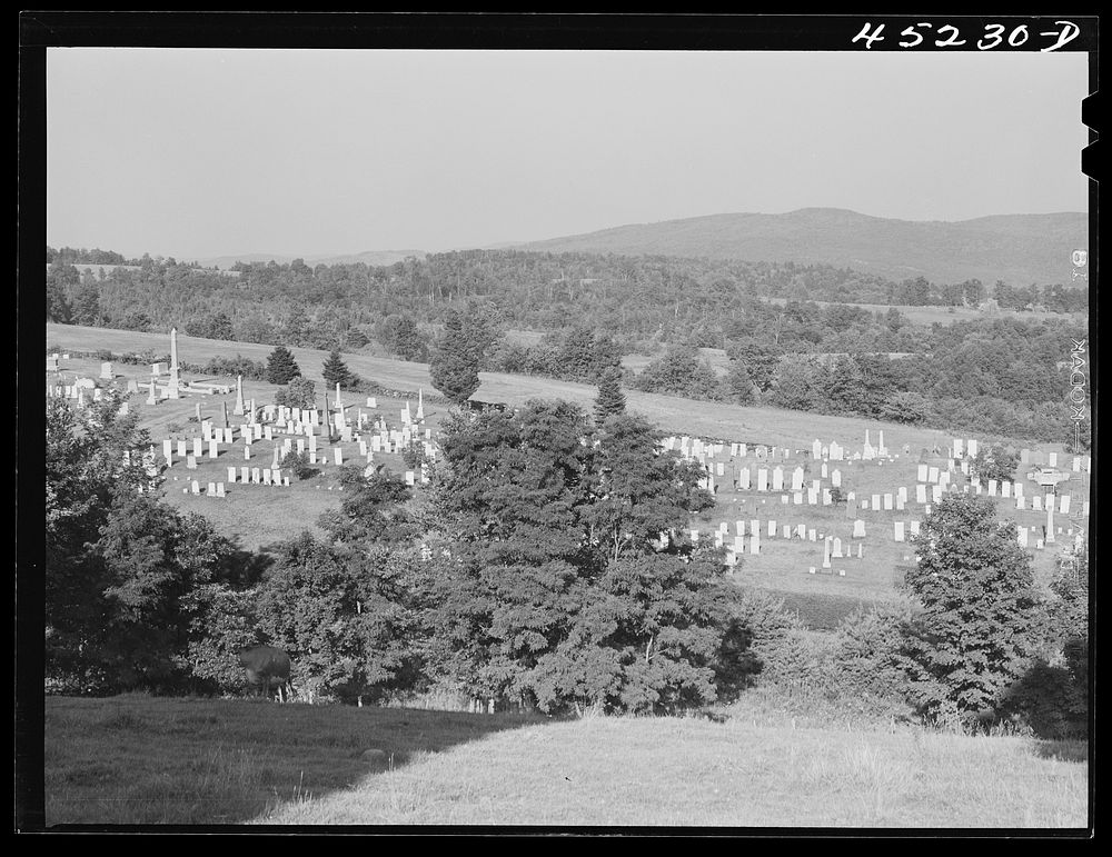 [Untitled photo, possibly related to: Graveyard near Dummerston, Vermont]. Sourced from the Library of Congress.