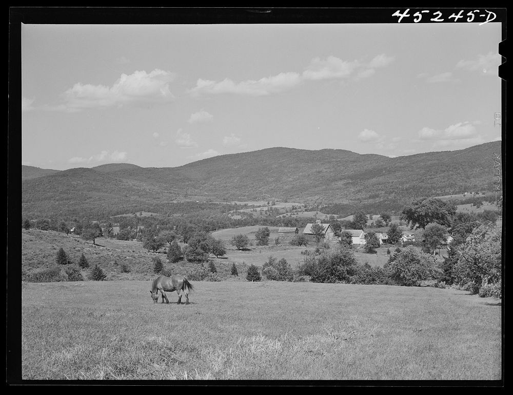 [Untitled photo, possibly related to: Landscape near South Londonderry, Vermont]. Sourced from the Library of Congress.