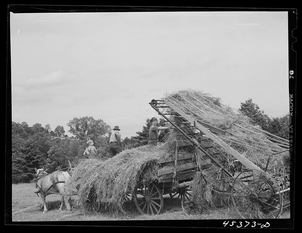 Loading hay on a farm near Rutland, Vermont. Sourced from the Library of Congress.