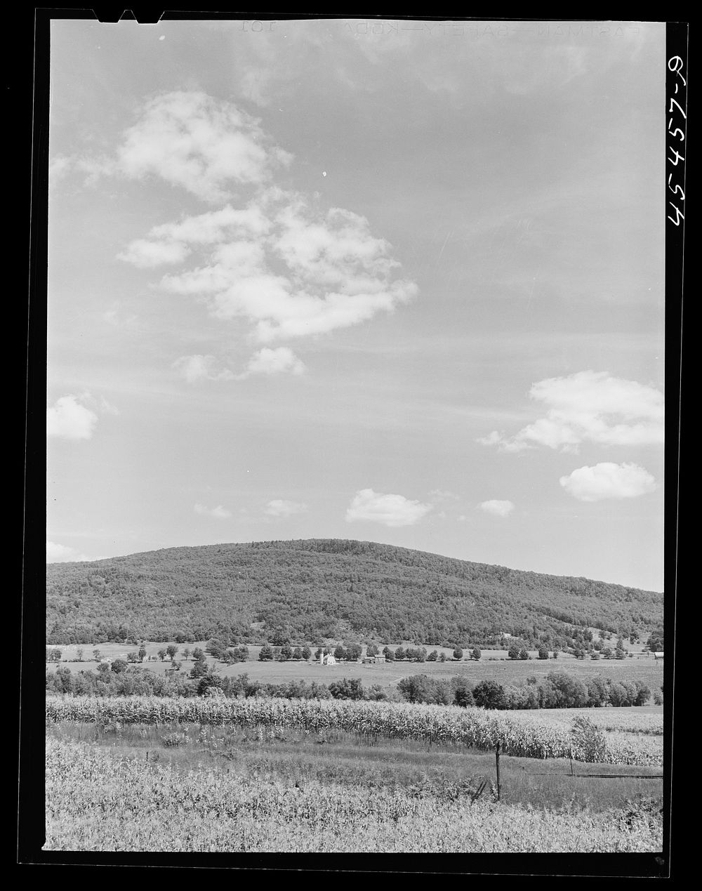 [Untitled photo, possibly related to: View of the county near Brandon, Vermont]. Sourced from the Library of Congress.