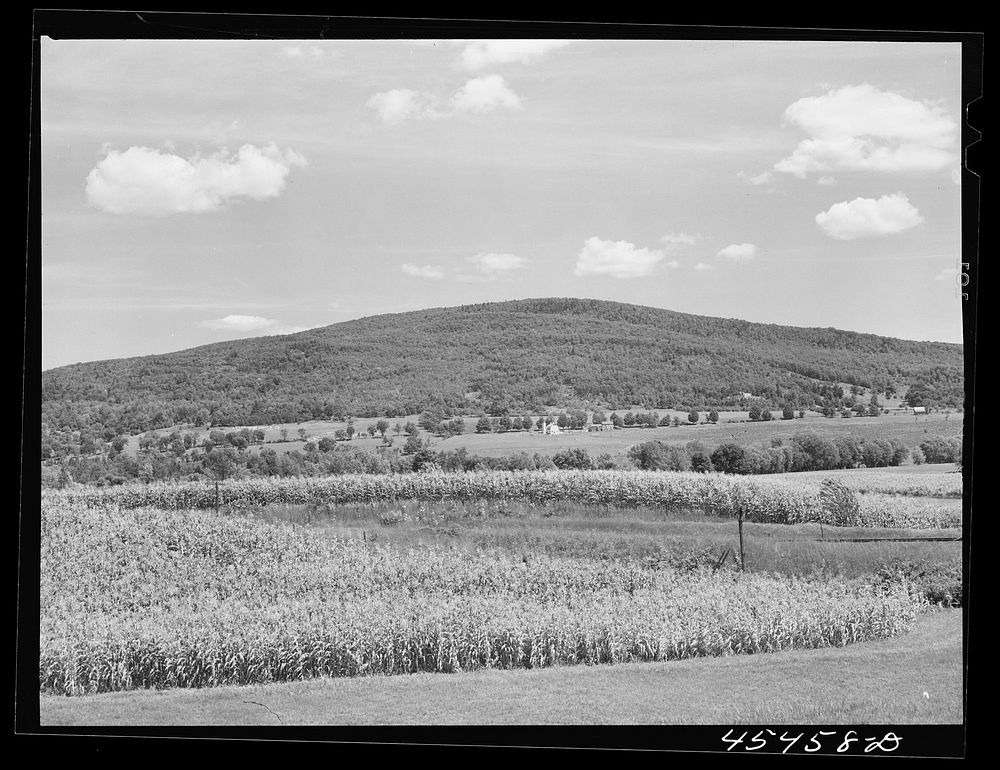 View of the county near Brandon, Vermont. Sourced from the Library of Congress.