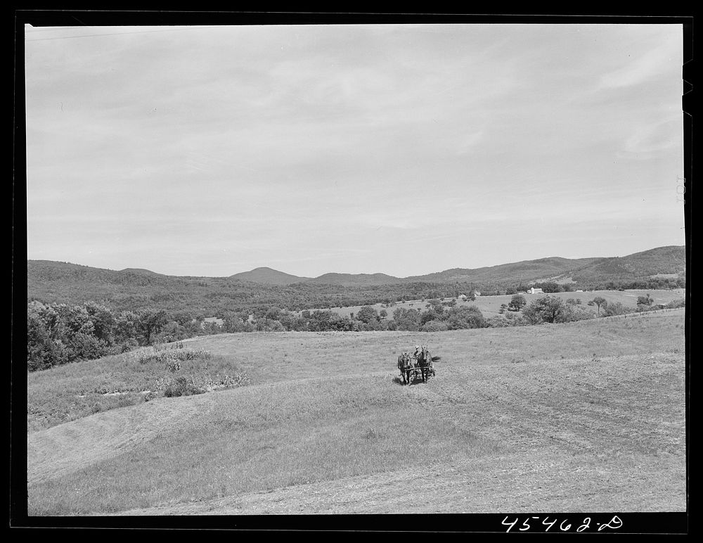 [Untitled photo, possibly related to: Cutting hay near Pittsford, Vermont]. Sourced from the Library of Congress.