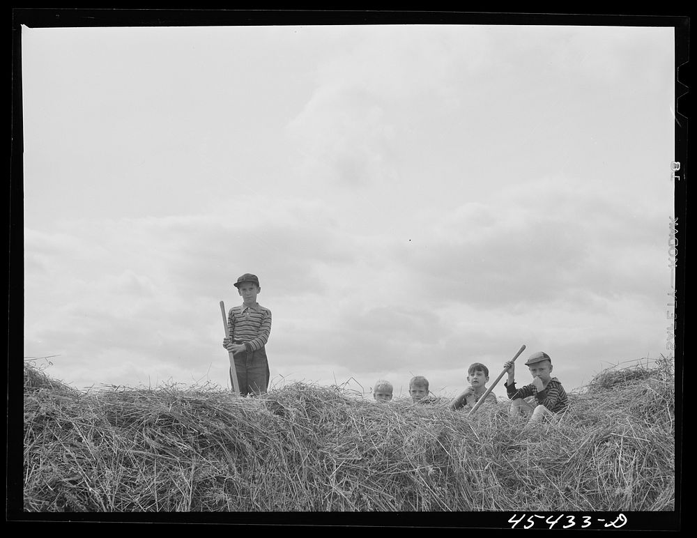 Dairy farmer's children on a hay stack near Castleton, Vermont. Sourced from the Library of Congress.
