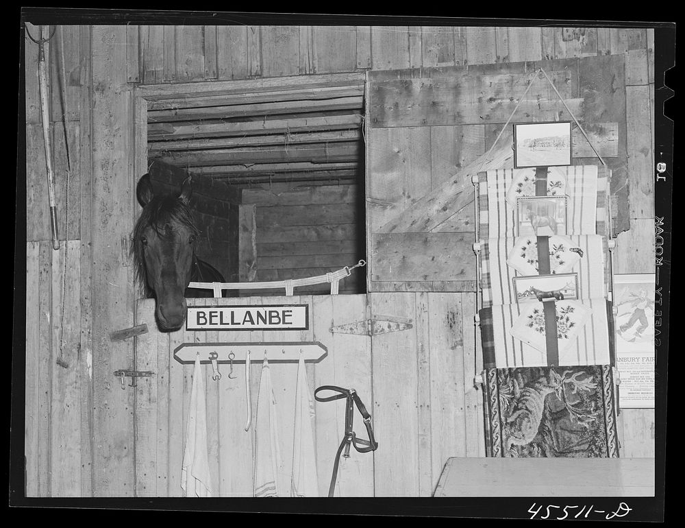At the stables for horses entered in the sulky races at the Rutland Fair, Vermont. Sourced from the Library of Congress.