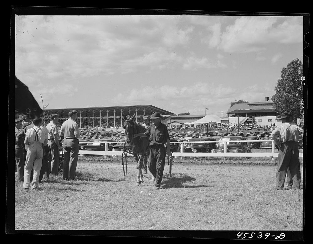 [Untitled photo, possibly related to: At the sulky races at the Rutland Fair, Vermont]. Sourced from the Library of Congress.