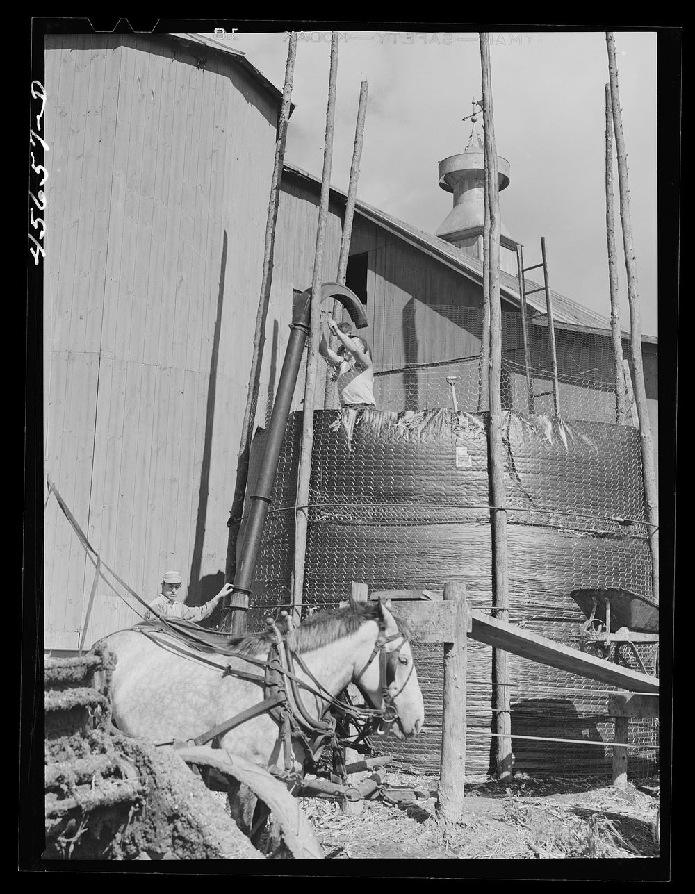 [Untitled photo, possibly related to: Building a temporary silo near Saint Albans, Vermont]. Sourced from the Library of…