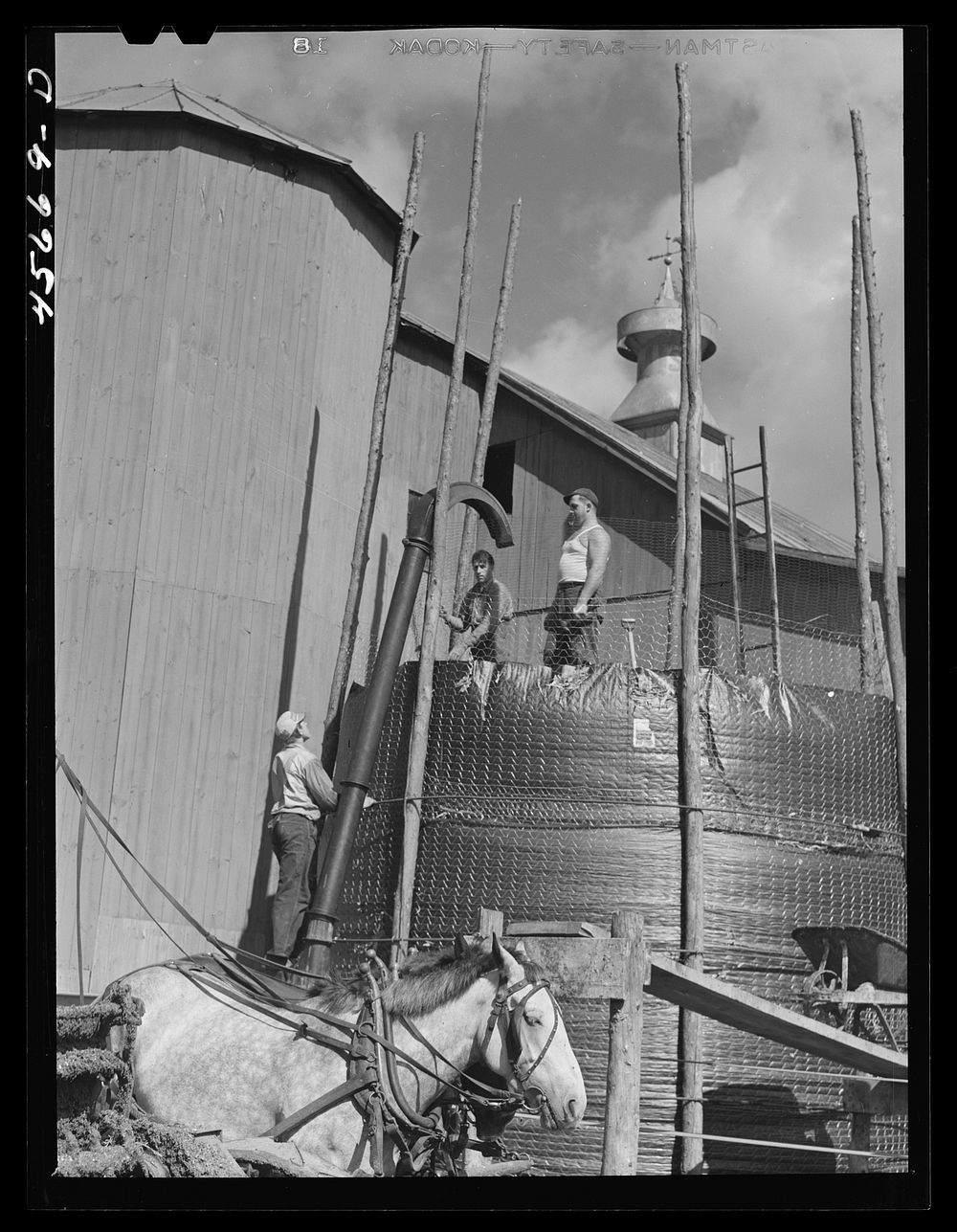 Building a temporary silo near Saint Albans, Vermont. Sourced from the Library of Congress.