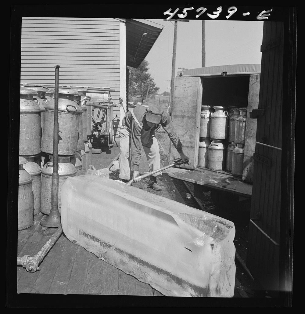 [Untitled photo, possibly related to: Dumping ice into a milk truck at the United Farmers' Cooperative Creamery]. Sourced…