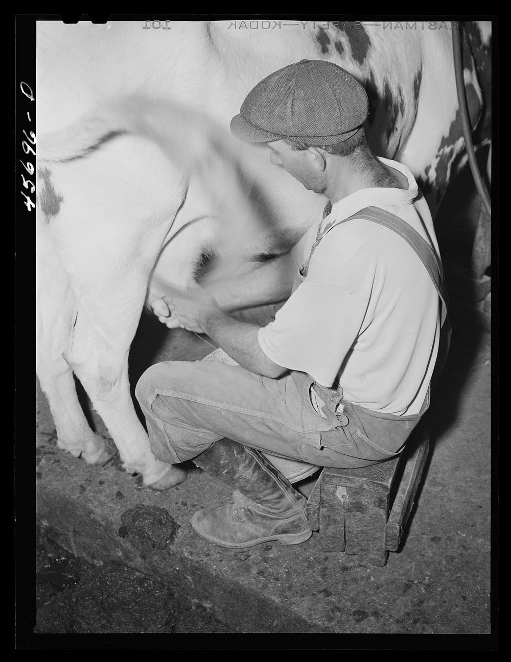 [Untitled photo, possibly related to: William Gaynor milking one of his cows on his farm near Fairfield, Vermont]. Sourced…